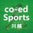 co-ed Sportsの写真